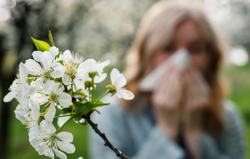 Hayfever Treatment. Hayfever Injections